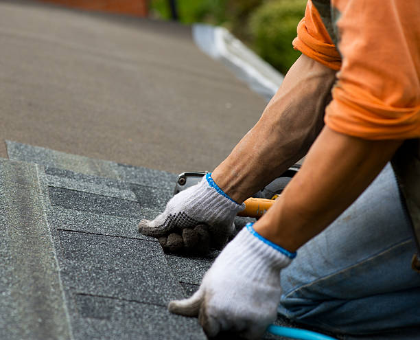 Best Roof Maintenance Services  in Greenwood, PA